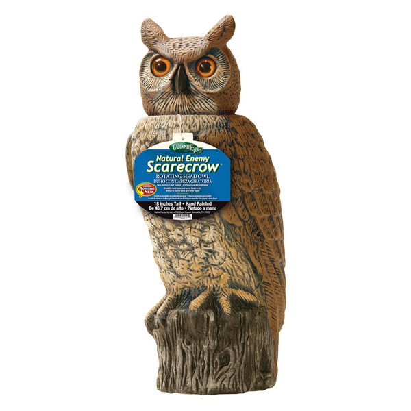 Dalen ORNAMNT OWL 18"" RH0-4